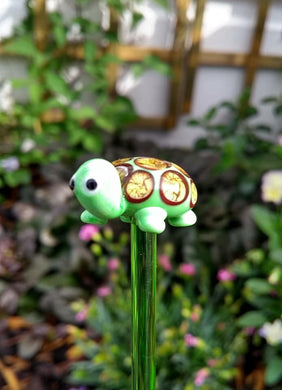 Glass Tortoise