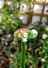 Glass Tortoise