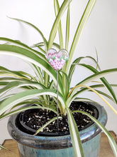 Pink glass heart with flowers - Mum