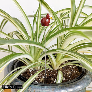 Hungry Bear Plant Stake