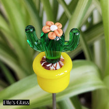 Mini Cactus - Yellow Pot