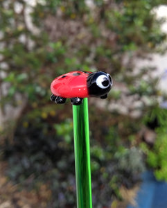 Glass ladybird